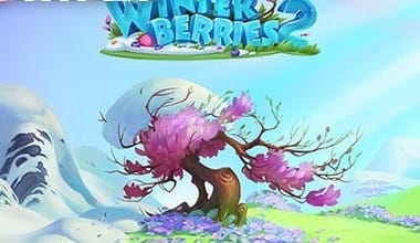 Winterberries 2